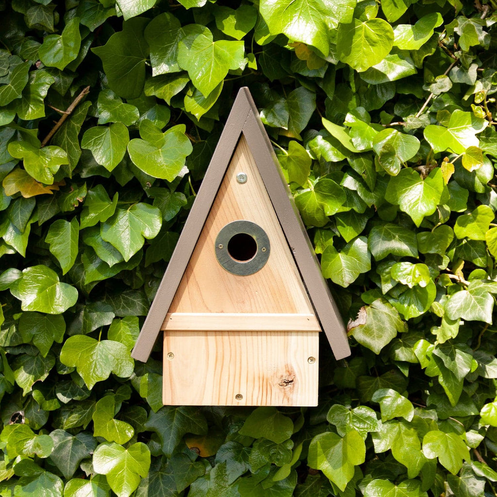 The perfect place to put your nest box.