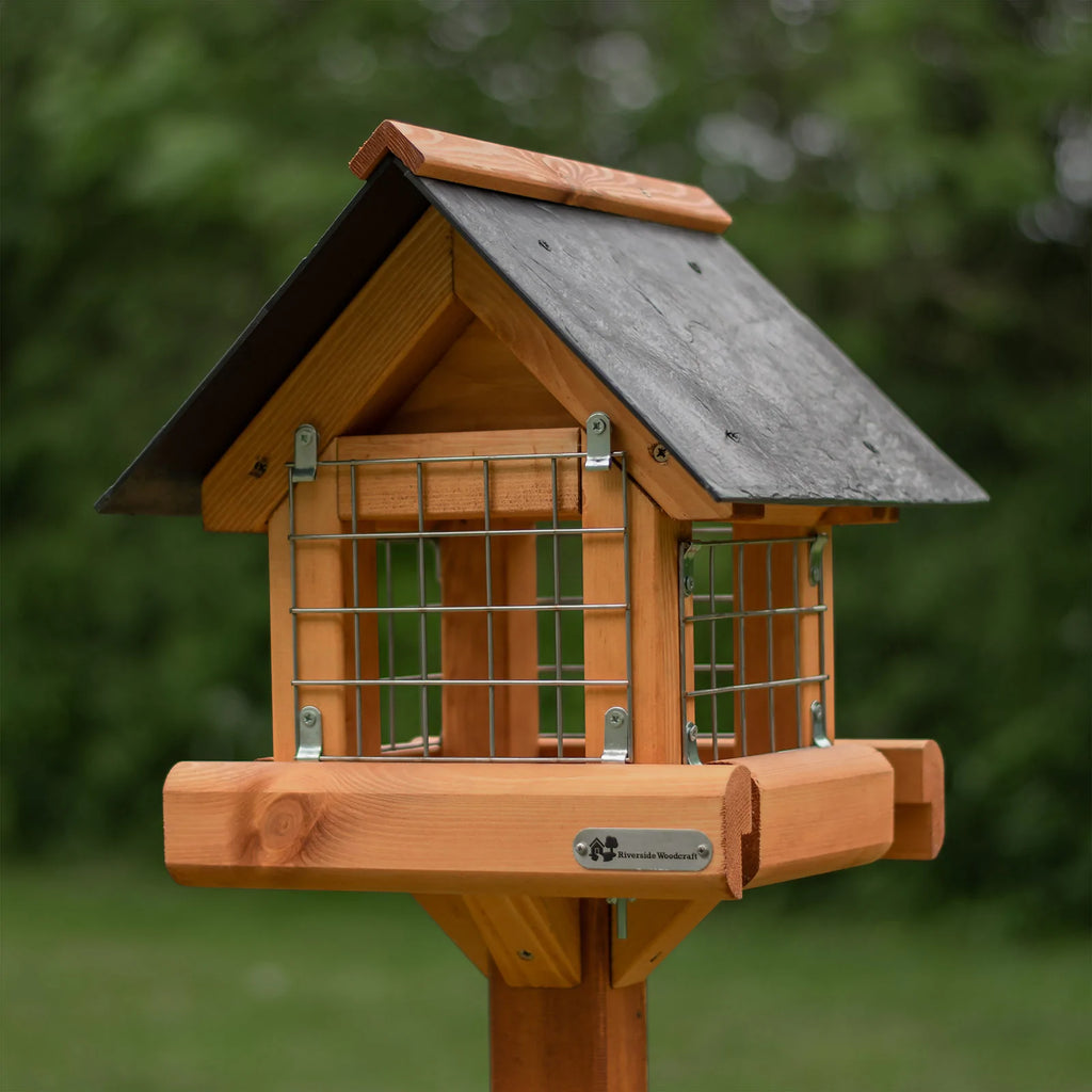 keep the crows away with a crow proof bird table