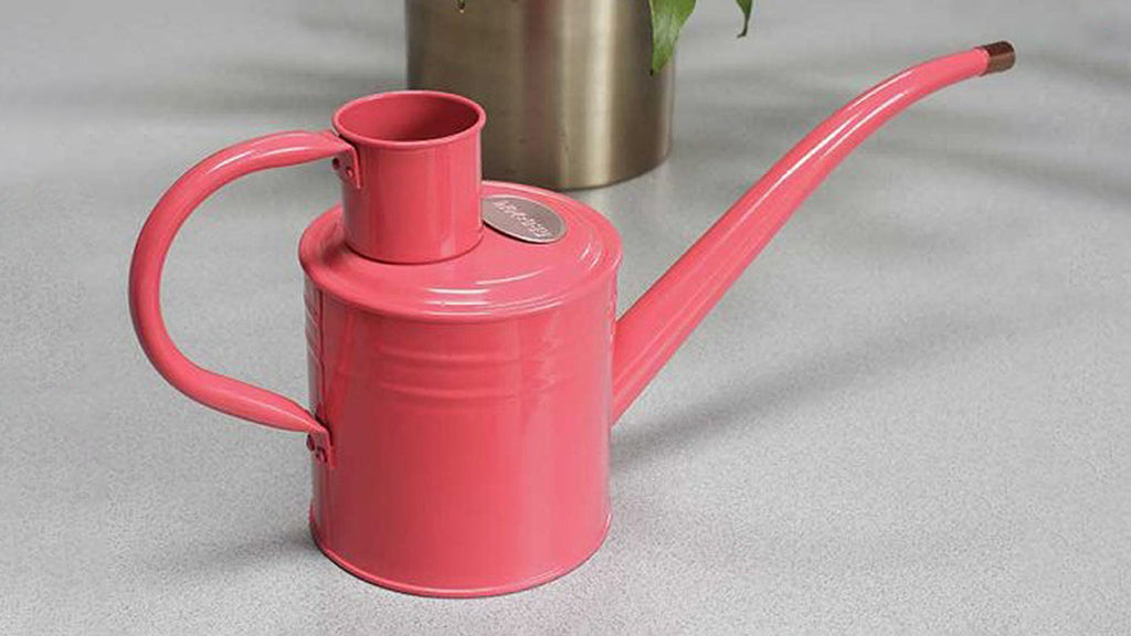 Smart Garden Home and Balcony Watering Can