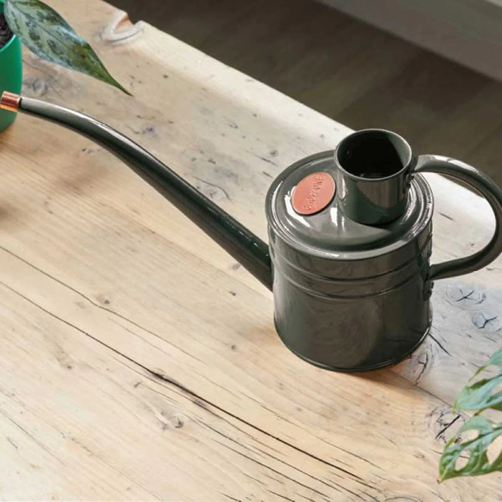 High quality stylish modern watering can