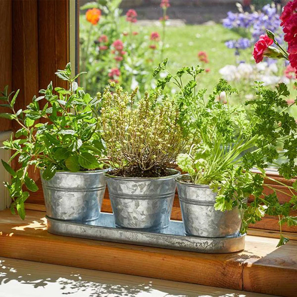 herb windowsill metal garden herb planter