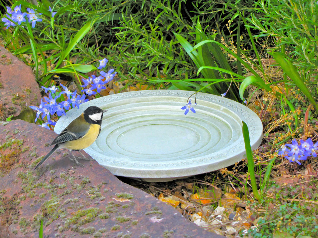 unusual bird bath for small garden